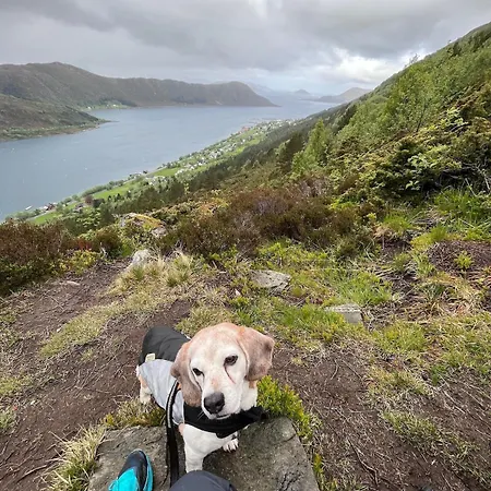 By The Fjord, With Boat And Jacuzzi Included
