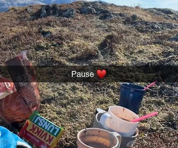 By The Fjord, With Boat And Jacuzzi Included Larsnes