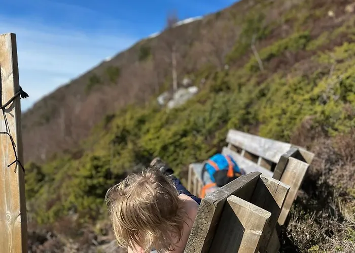 Leilighet By The Fjord, With Boat And Jacuzzi Included Larsnes