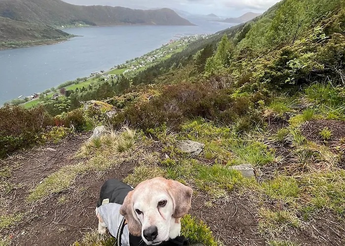 By The Fjord, With Boat And Jacuzzi Included