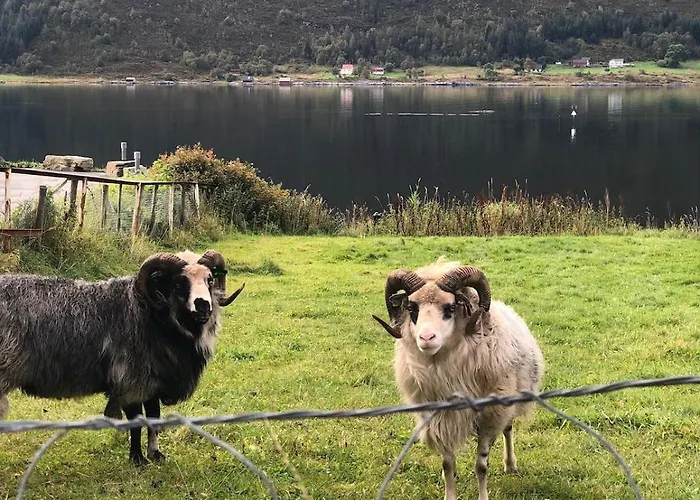 By The Fjord, With Boat And Jacuzzi Included Leilighet *