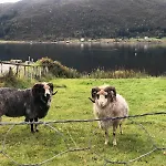 By The Fjord, With Boat And Jacuzzi Included Leilighet *