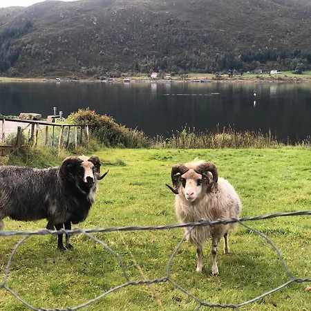 By The Fjord, With Boat And Jacuzzi Included Apartament *